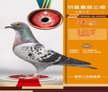 ��껾���56��