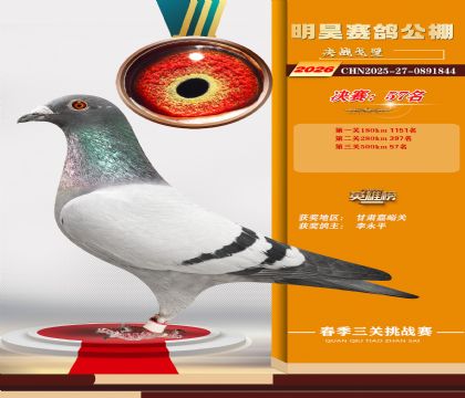��껾���57��