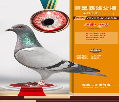 ��껾���58��