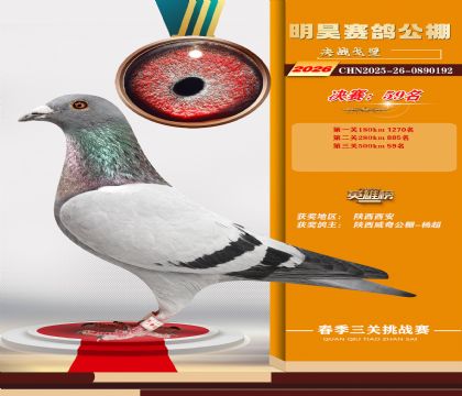��껾���59��