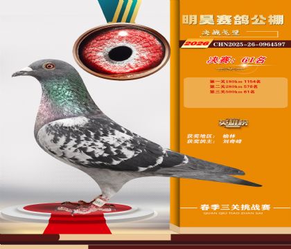 ��껾���61��