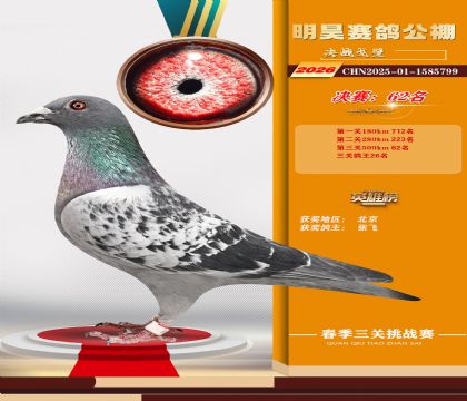 ��껾���62��
