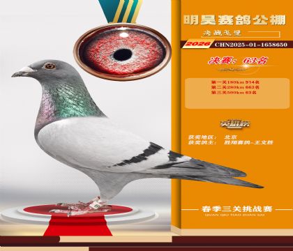 ��껾���63��