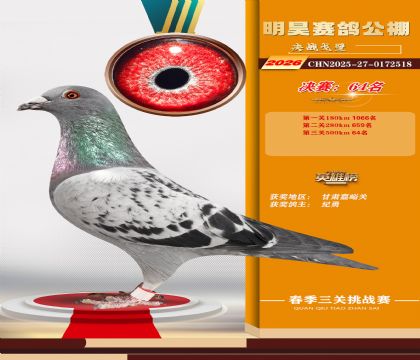 ��껾���64��