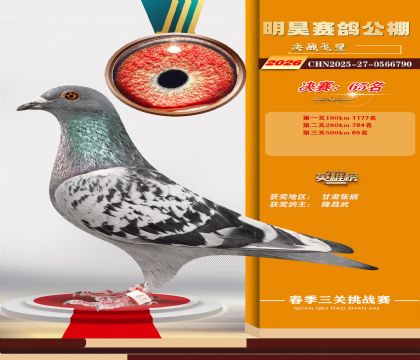 ��껾���65��