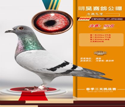 ��껾���66��