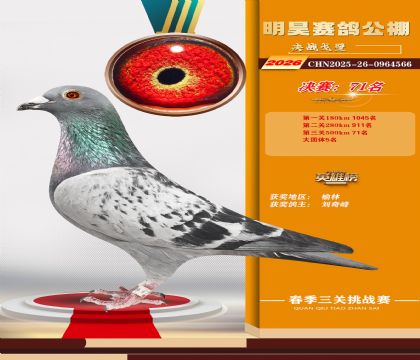 ��껾���71��