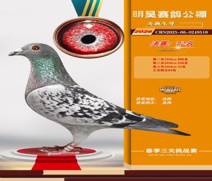 ��껾���72��