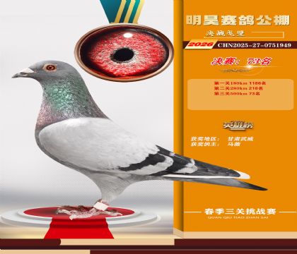 ��껾���73��