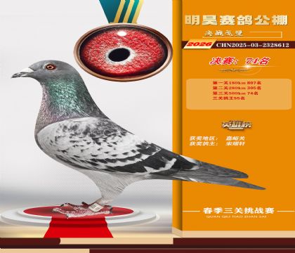 ��껾���74��