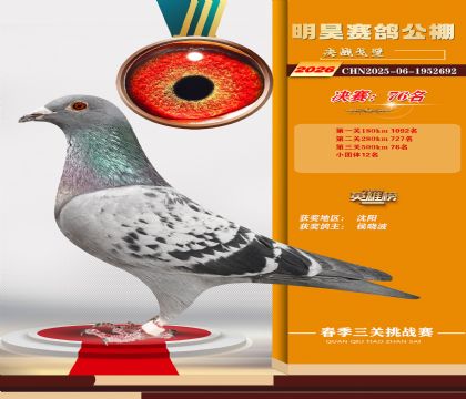 ��껾���76��
