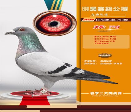 ��껾���77��