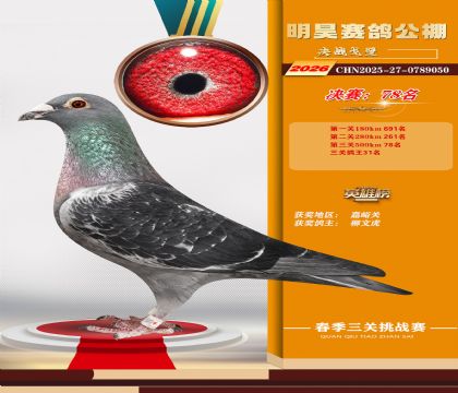 ��껾���78��