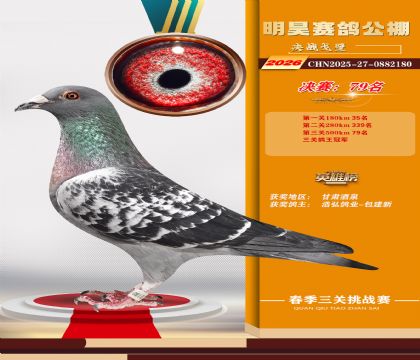 ��껾���79��