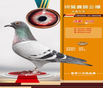 ��껾���81��