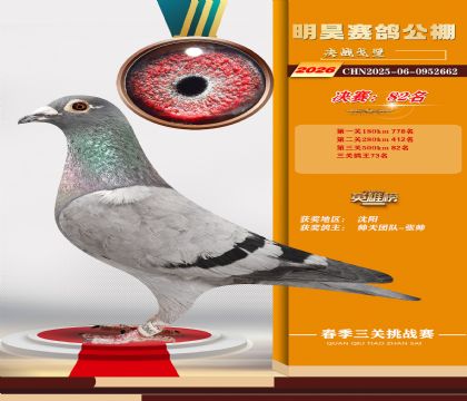 ��껾���82��