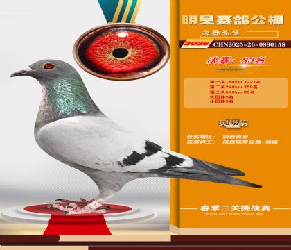 ��껾���83��