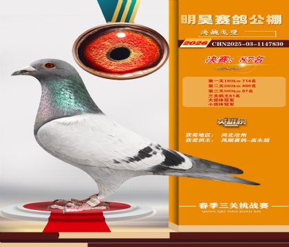 ��껾���87��
