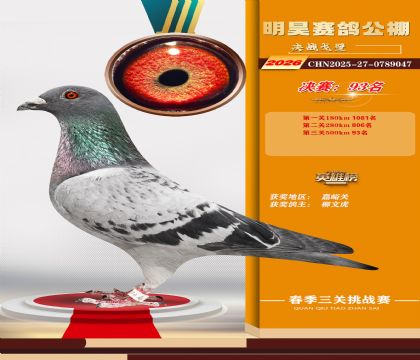 ��껾���93��