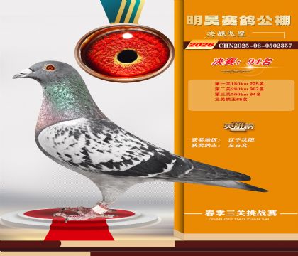 ��껾���94��