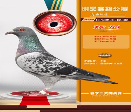 ��껾���95��