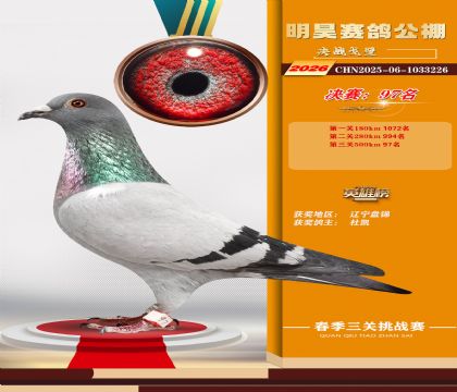 ��껾���97��