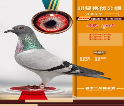 ��껾���100��