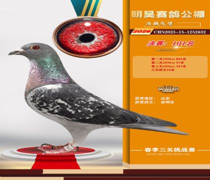 ��껾���101��