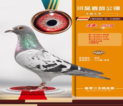 ��껾���102��