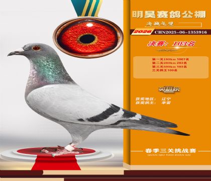 ��껾���103��