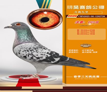 ��껾���105��