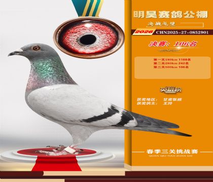 ��껾���106��