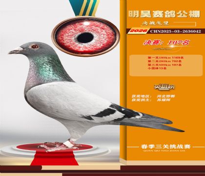 ��껾���107��