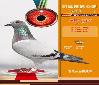 ��껾���108��