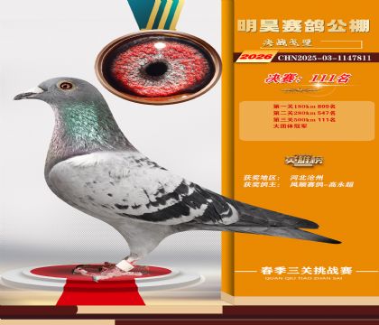 ��껾���111��