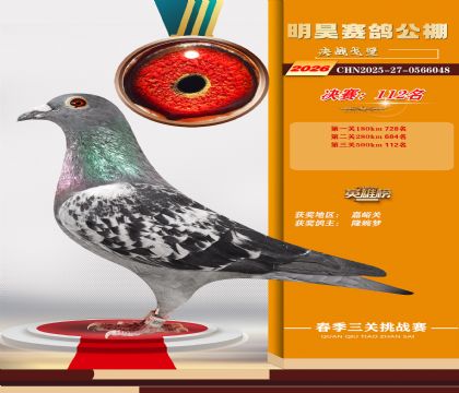 ��껾���112��