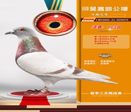��껾���113��