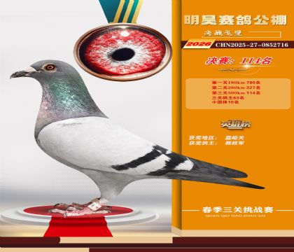 ��껾���114��