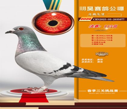 ��껾���115��