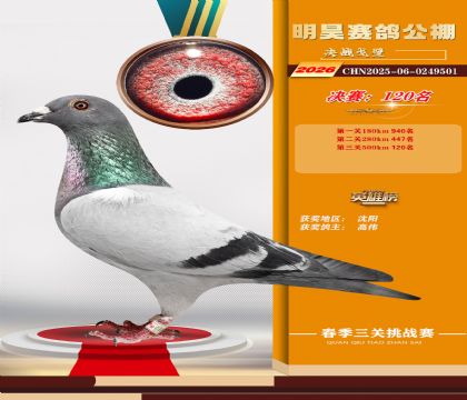��껾���120��