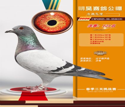 ��껾���121��