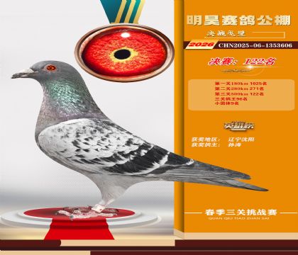��껾���122��