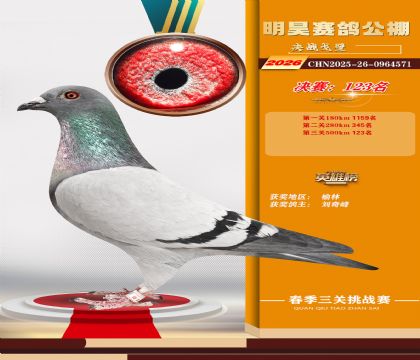 ��껾���123��