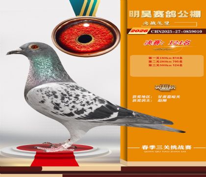 ��껾���124��