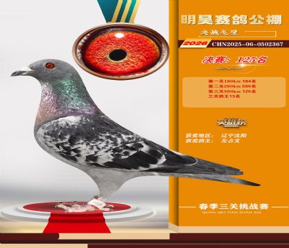 ��껾���125��