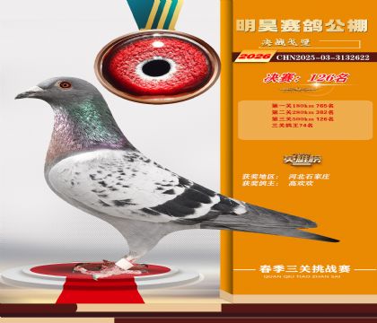 ��껾���126��