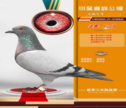 ��껾���127��