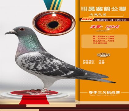 ��껾���129��