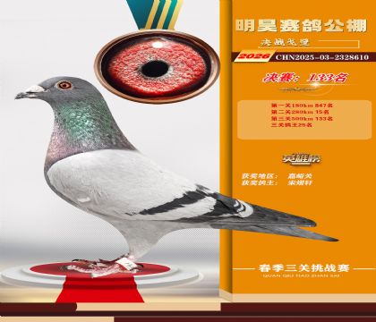 ��껾���133��