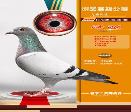 ��껾���134��